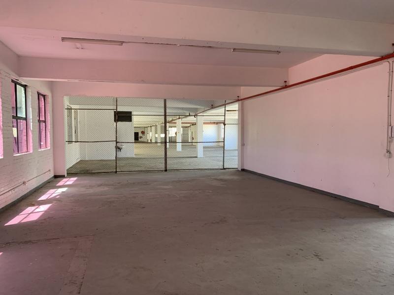 To Let commercial Property for Rent in Paarden Eiland Western Cape